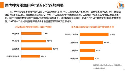 國內搜索引擎產品市場發展報告2020（簡版） 信息安全軟件開發視角
